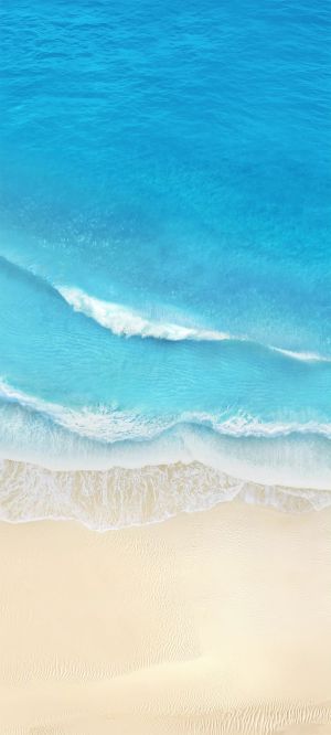 Wallpaper